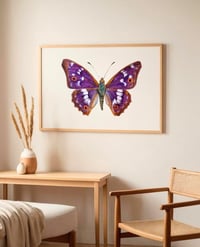 Image 8 of Apatura Ilia Butterfly Watercolor PRINT
