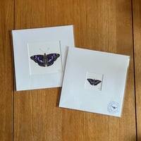 Image 1 of Purple Lesser Emperor Butterfly - Giclee Prints