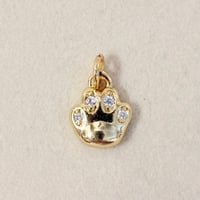Paw Charm