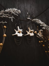 Image 2 of Chandeliers