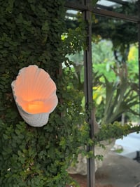 Image 4 of Oyster Wall Candle Holder