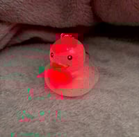 Image 2 of Light Ducky Stasher