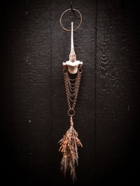 Image 5 of Dian Cecht