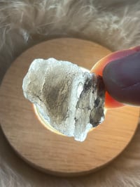 Image 1 of Agni Manitite Tektite #2226