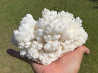 Image 6 of White Calcite Crystal Reef Formation Specimen #1237