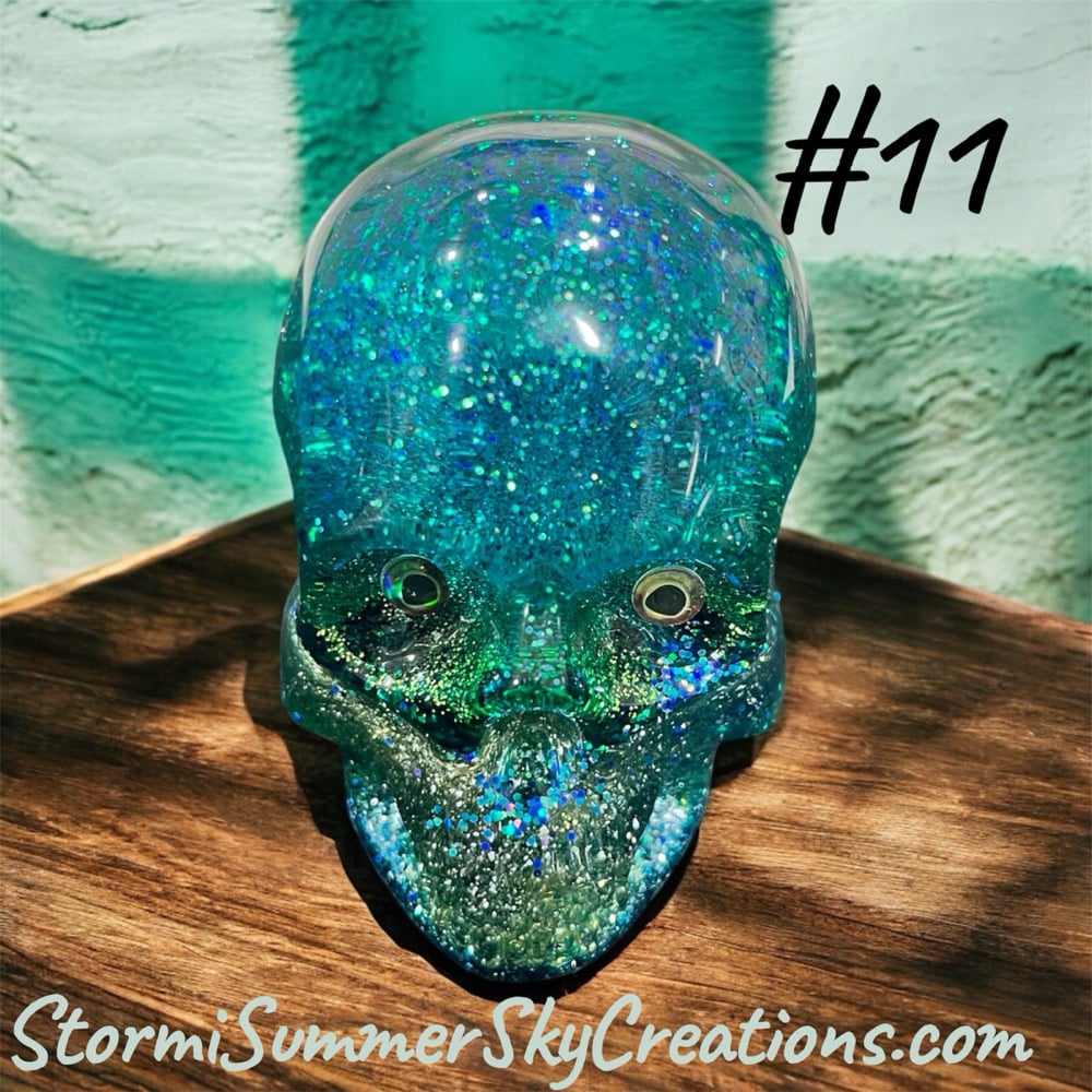 Image of Medium Sized Skulls