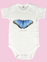 Image 1 of Body MORFO