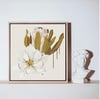 Adele Naidoo Aria 30x30cm framed print 