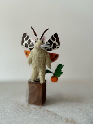 Image of Pumpkin Spice faux taxidermy mouse