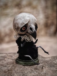 Image 1 of CROW ARTDOLL