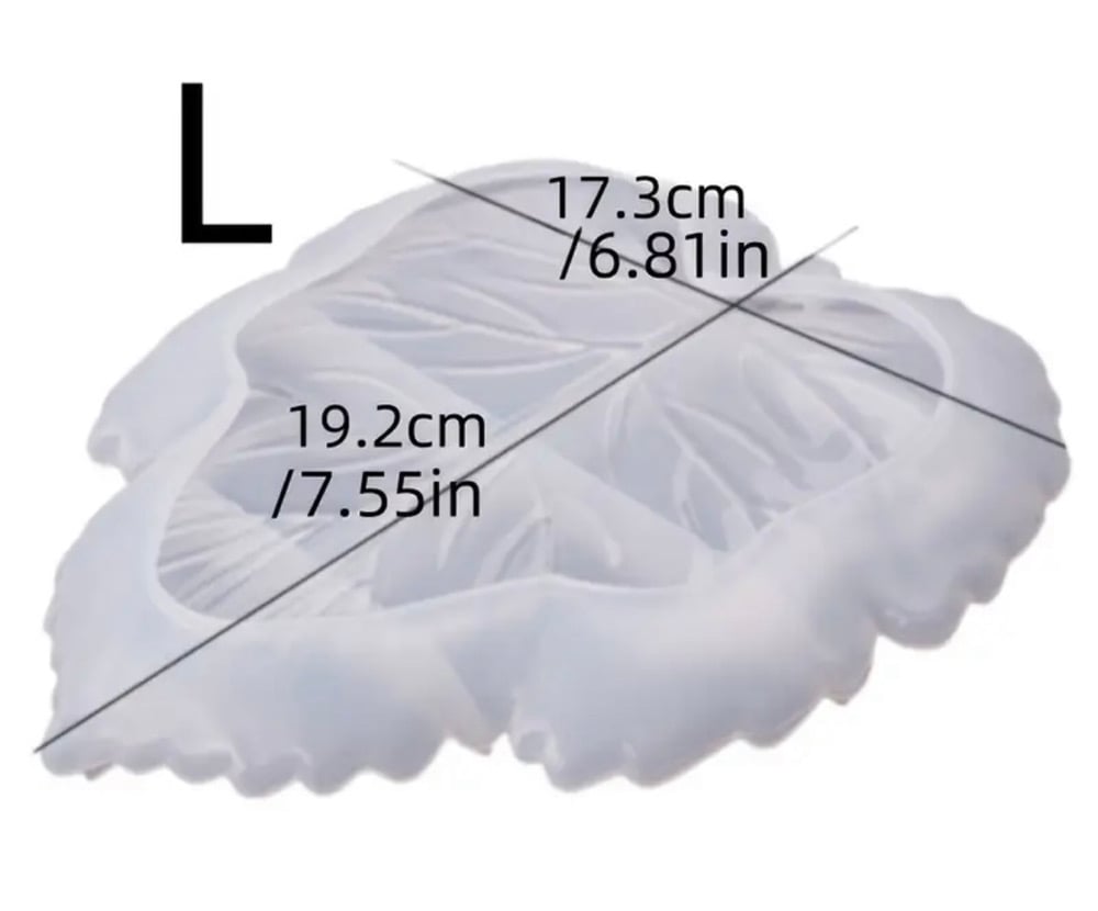 Image of Large Leaves