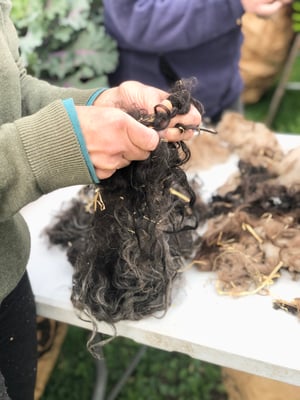 Image of ULD sorteringsdag 11. april 2026