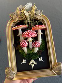 Image 1 of Amanita muscaria frame LED