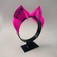 Image 3 of Magenta Stars Kitten