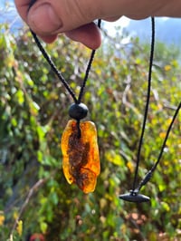 Image 2 of Large Amber nugget with Bog oak bead