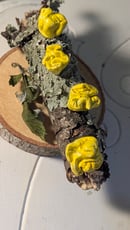 Image 2 of Jelly Fungus sculpture