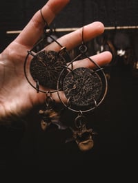 Image 2 of Cathedral Drops