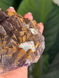 Image 3 of NATURAL RAINBOW IRIDESCENT CUBIC FLUORITE -CHINA- A
