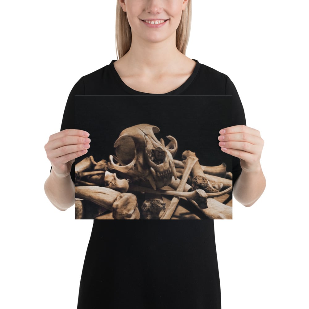 Photo Print: Cat Skull on Bone Pile