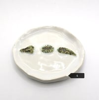 Image 5 of Croc Dish