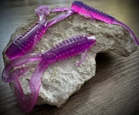 Image 4 of VEXXUS - MORNING DAWN