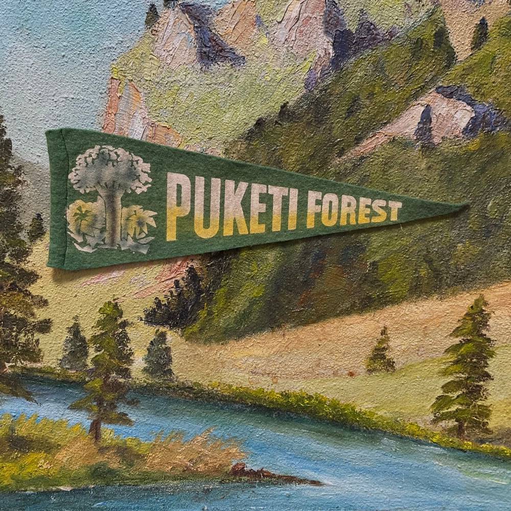 Image of Puketi Forest Pennant