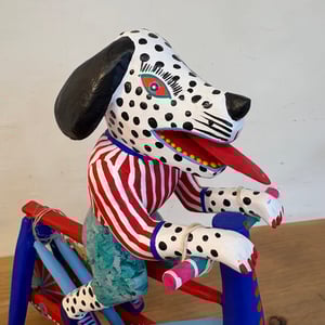 Image of Cyclist from Oaxaca ABFAB 