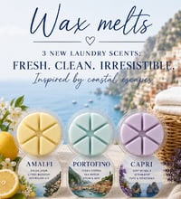 3 wax melts for £10