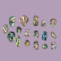 Image 1 of Abalone Paua shell Pieces 