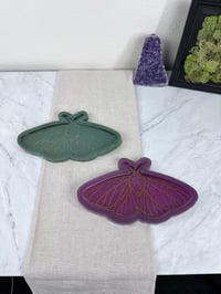 Image 2 of Moth Tray