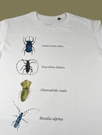 Image 3 of T-shirt INSECTA