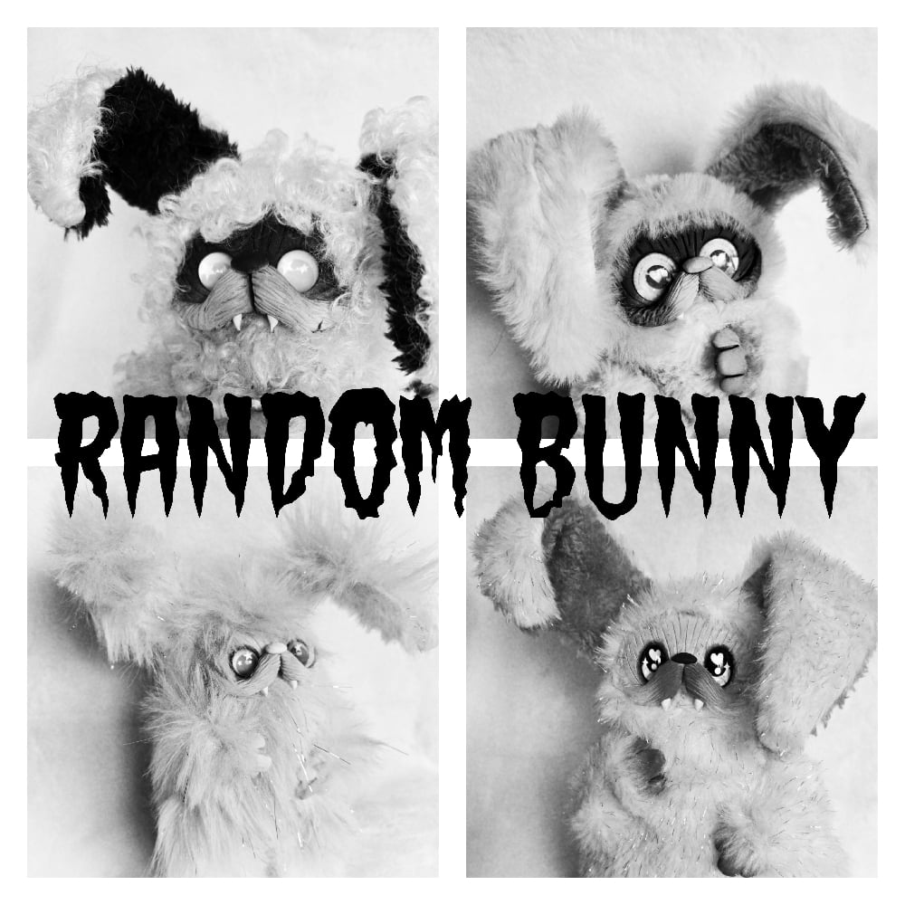 Image of Random Bunny