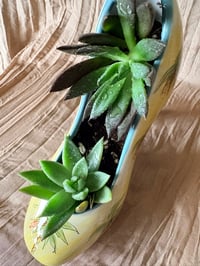 Image 3 of Lipstick Echeveria/Black Prince in Palm High Heel