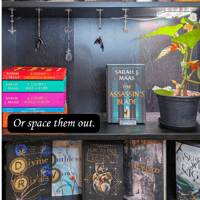 Image 6 of Wings & Stars handmade bookshelf charms copy