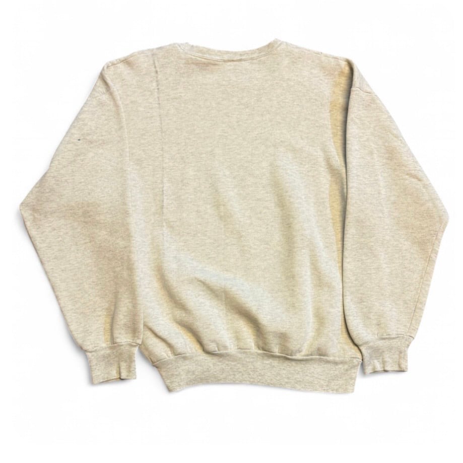 Image of 1990s Looney Tunes Taz Graphix Sweatshirt (L)
