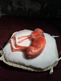 Image 3 of Death cast Roe Deer Embryo 