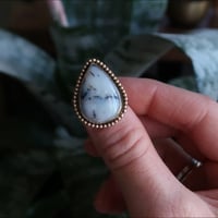 Dendritic Opal