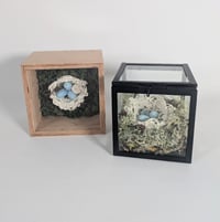 Image 2 of Jillian Riley Ceramics