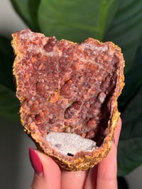 Image 2 of PINK CHALCEDONY GEODE -MOROCCO- B