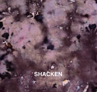 Image 10 of Pop Up Procion Dye MX