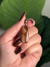 Image 1 of LAGUNA LACE AGATE PENDANT WITH CHAIN DD (.925 SS)