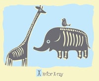 Image 1 of X is for X-ray Alphabet Nursery Print