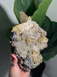 Image 7 of XXL SWEETWATER CALCITE WITH PYRITE -MISSOURI- PORCUPINE POCKET 2025 B