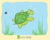T is for Turtle Alphabet Nursery Print