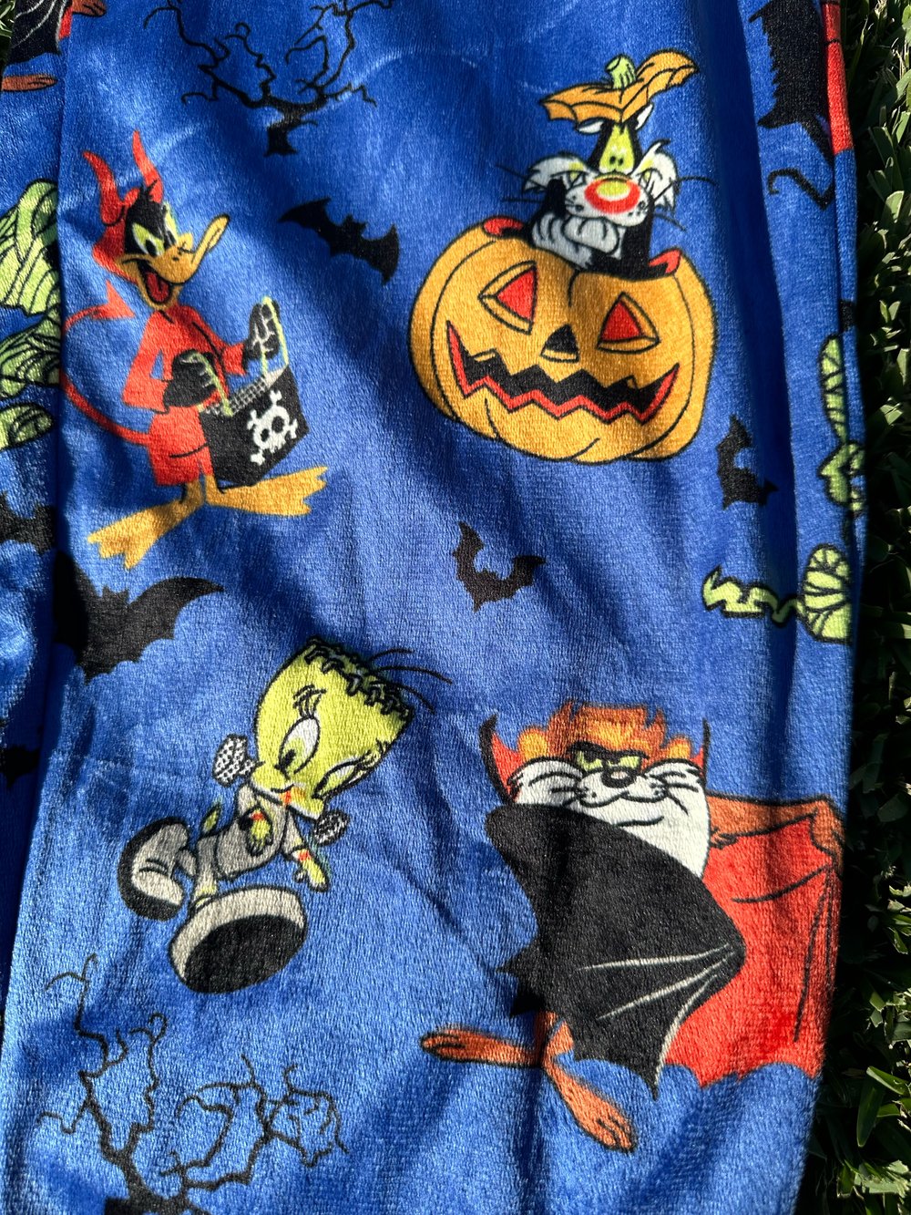 Looney Tunes - Halloween Pijama Pants