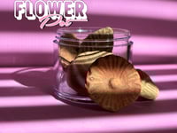 Image 1 of Flower Pot 