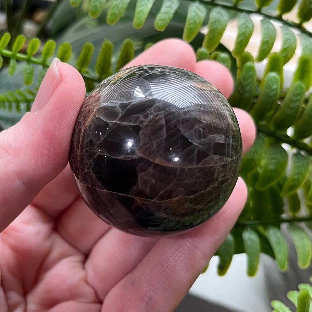 Black Moonstone Sphere D