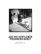 Image of Are You Gentlemen Prisoners Here?