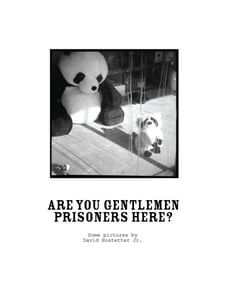 Image of Are You Gentlemen Prisoners Here?