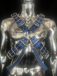 Image 4 of Electric Blue ‘X’ Harness 